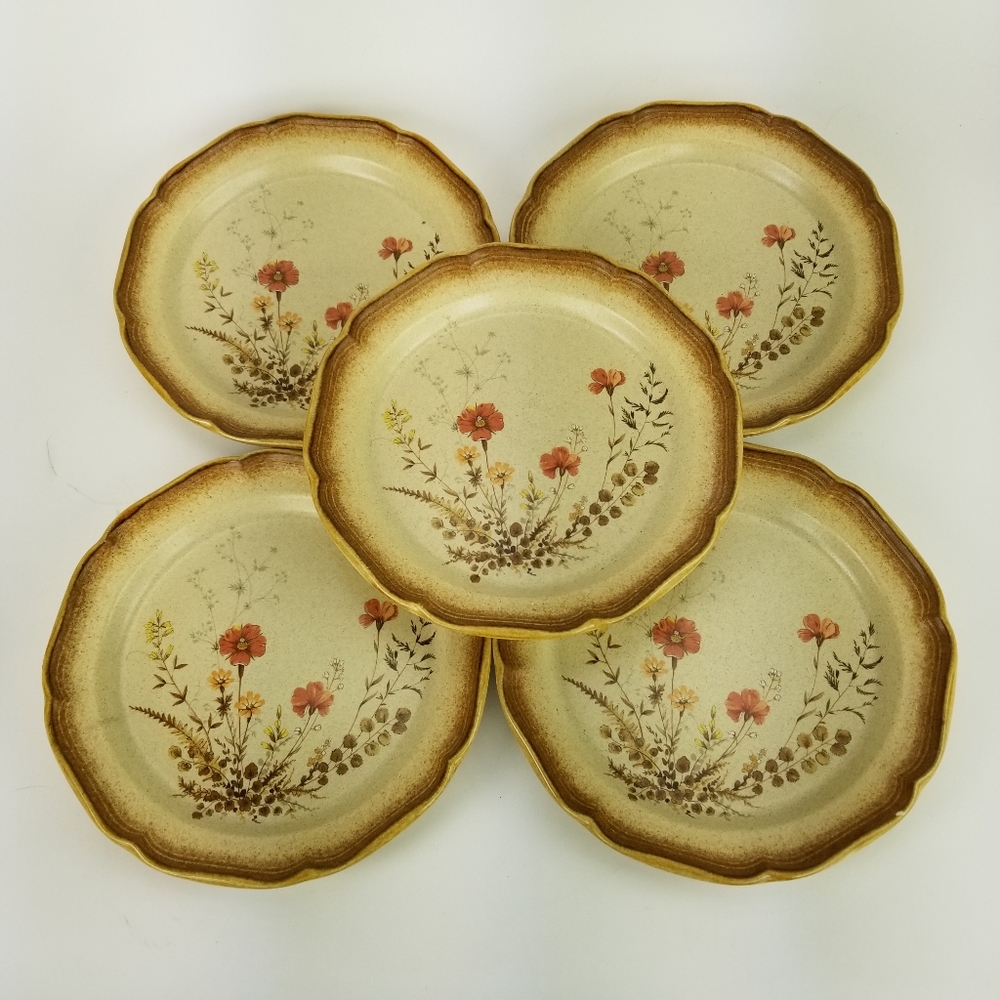 (5) Mikasa Whole Wheat Jardiniere Dinner Plates